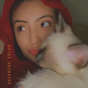 Meet your Posher, Genesis